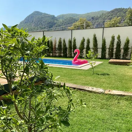 Villa Daedalavilla *